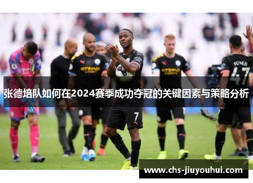 张德培队如何在2024赛季成功夺冠的关键因素与策略分析