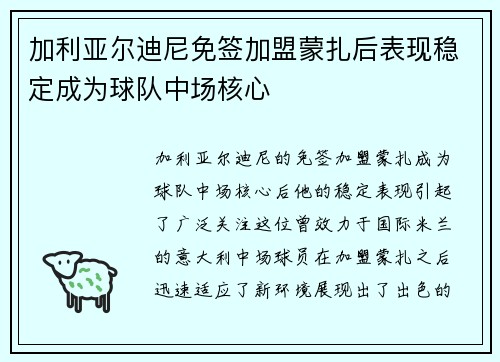 加利亚尔迪尼免签加盟蒙扎后表现稳定成为球队中场核心
